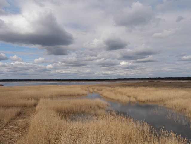 Blick über den Kanieris-See in Lettland auf dem Weg von Riga zum Kap Kolka