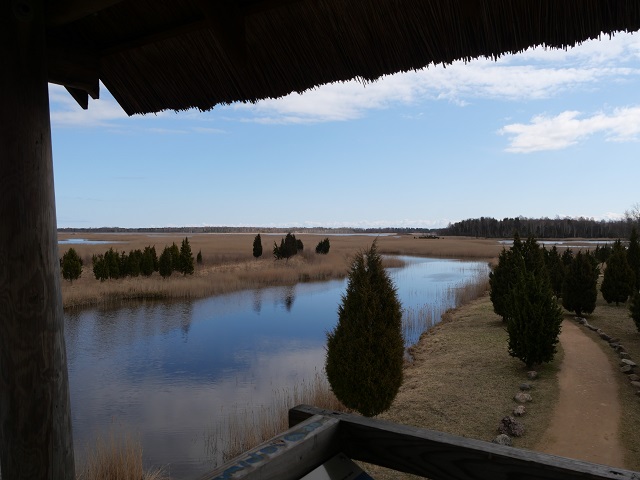 Blick vom Vogelbeobachtungstrum im lettischen Kemeri-Nationalpark