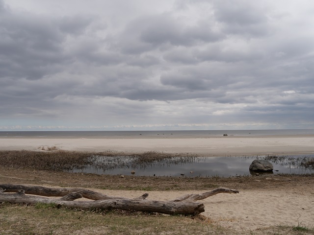 am Strand von Engure an der lettischen Küste