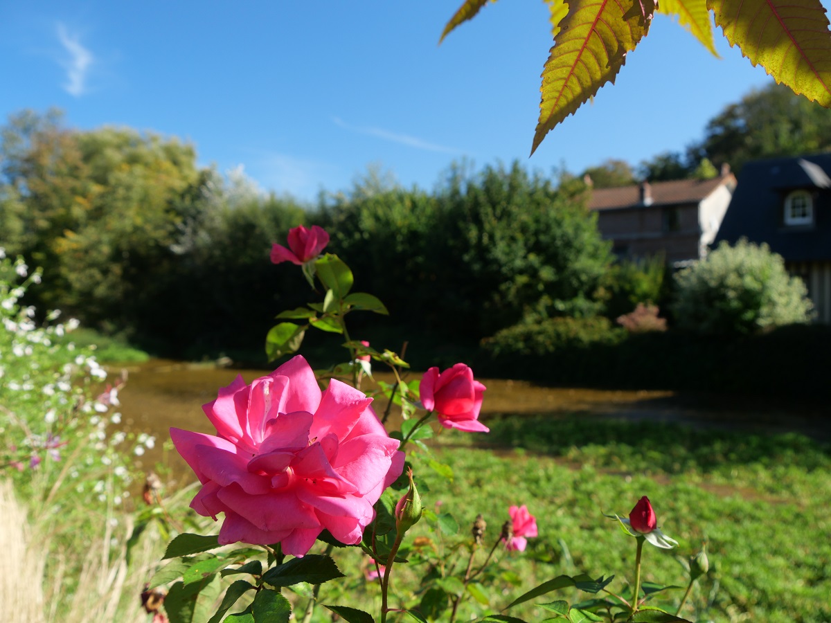 Bezauberndes Dorf und Seebad: Veules-les-Roses