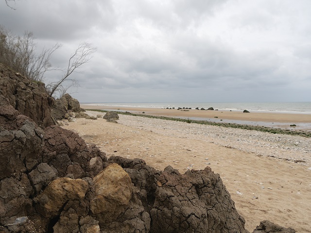 Schwarze Kühe oder Felsen am Meer