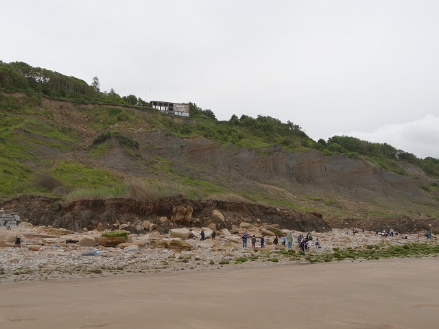 an den Falaises des Vaches Noires