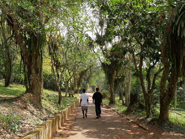 Aburi Garden, Ghana