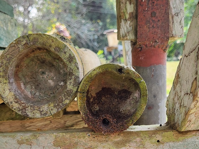 Bienenstöcke im International Stingless Bee Center