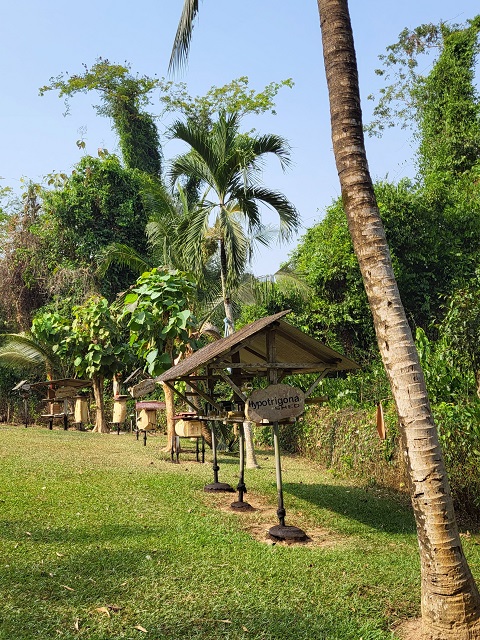 Im International Stingless Bee Center