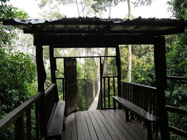 Startpunkt zum Baumwipfelpfad im Kakum Nationalpark