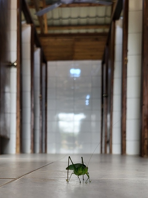 Toilettenanlage im Kakum Nationalpark