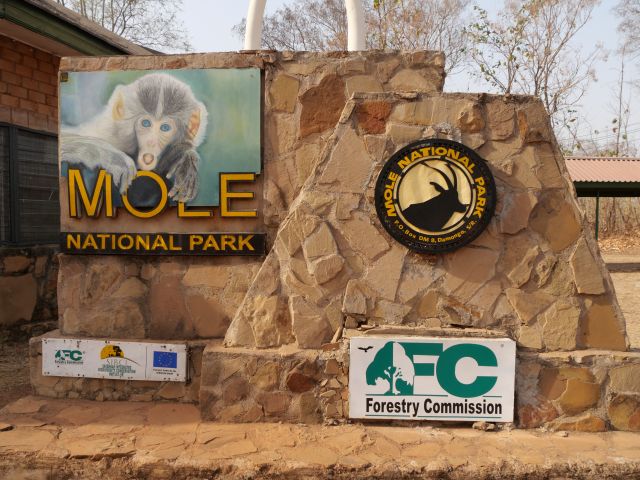 Ghana - Mole National Park