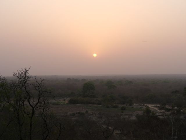 Abendstimmung im Mole National Park in Ghana