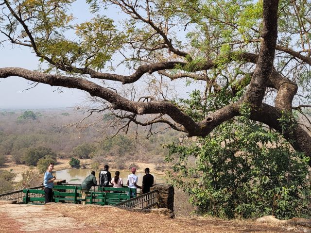 Aussichtsterrasse am Mole Motel in Ghana