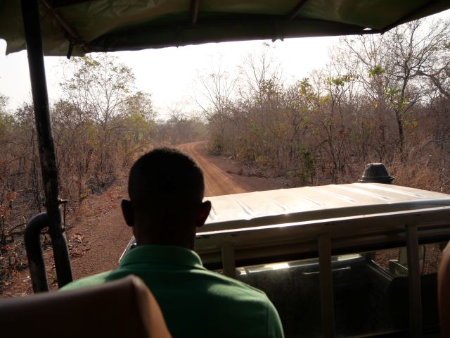 Mit dem Nationalpark-Ranger auf Safari