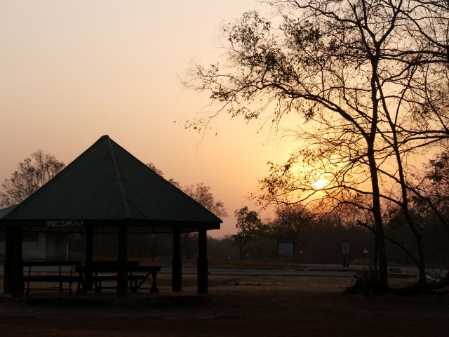 Morgens im Mole Nationalpark in Ghana